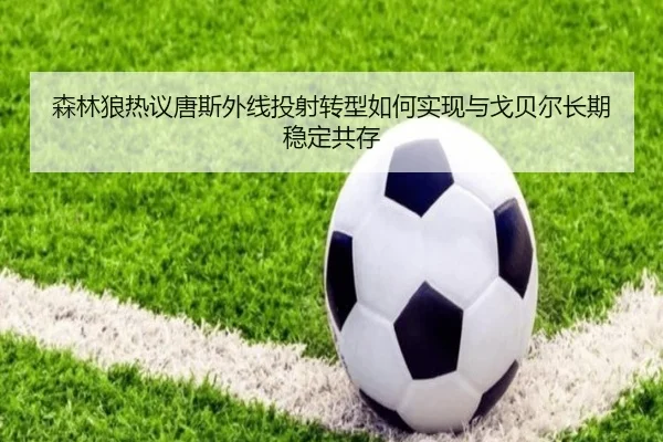 森林狼热议唐斯外线投射转型如何实现与戈贝尔长期稳定共存